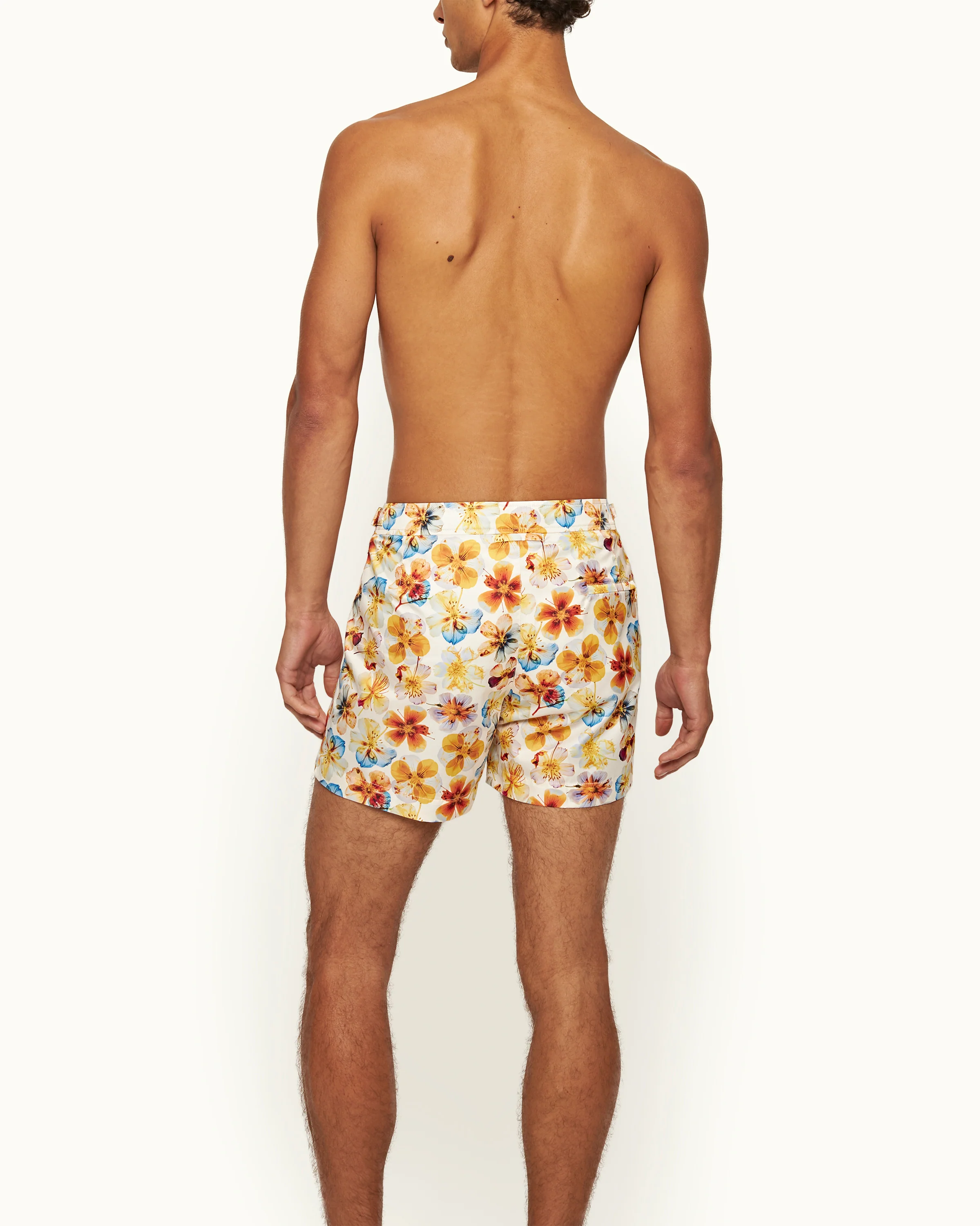 Setter - Image 4