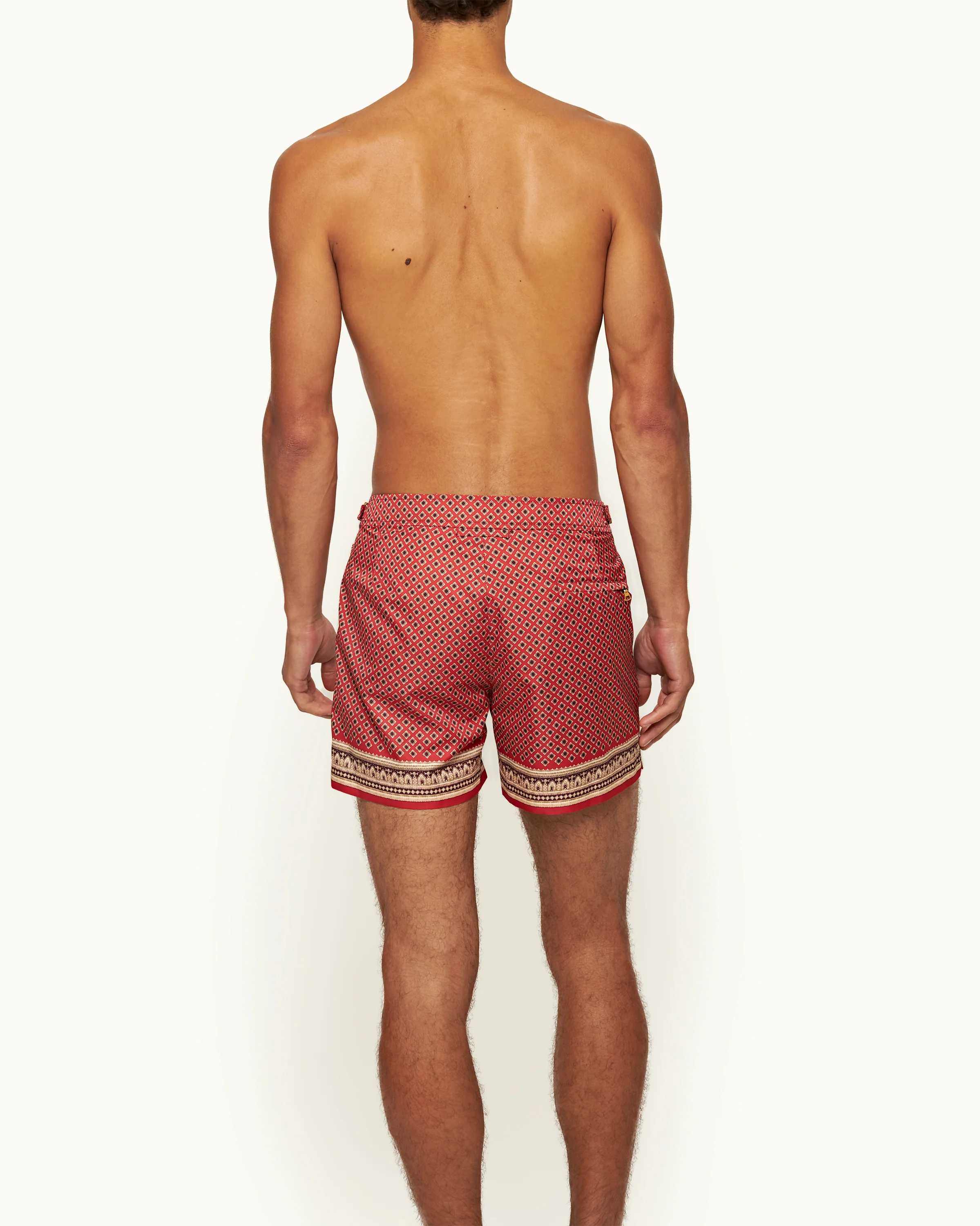 Setter - Image 4