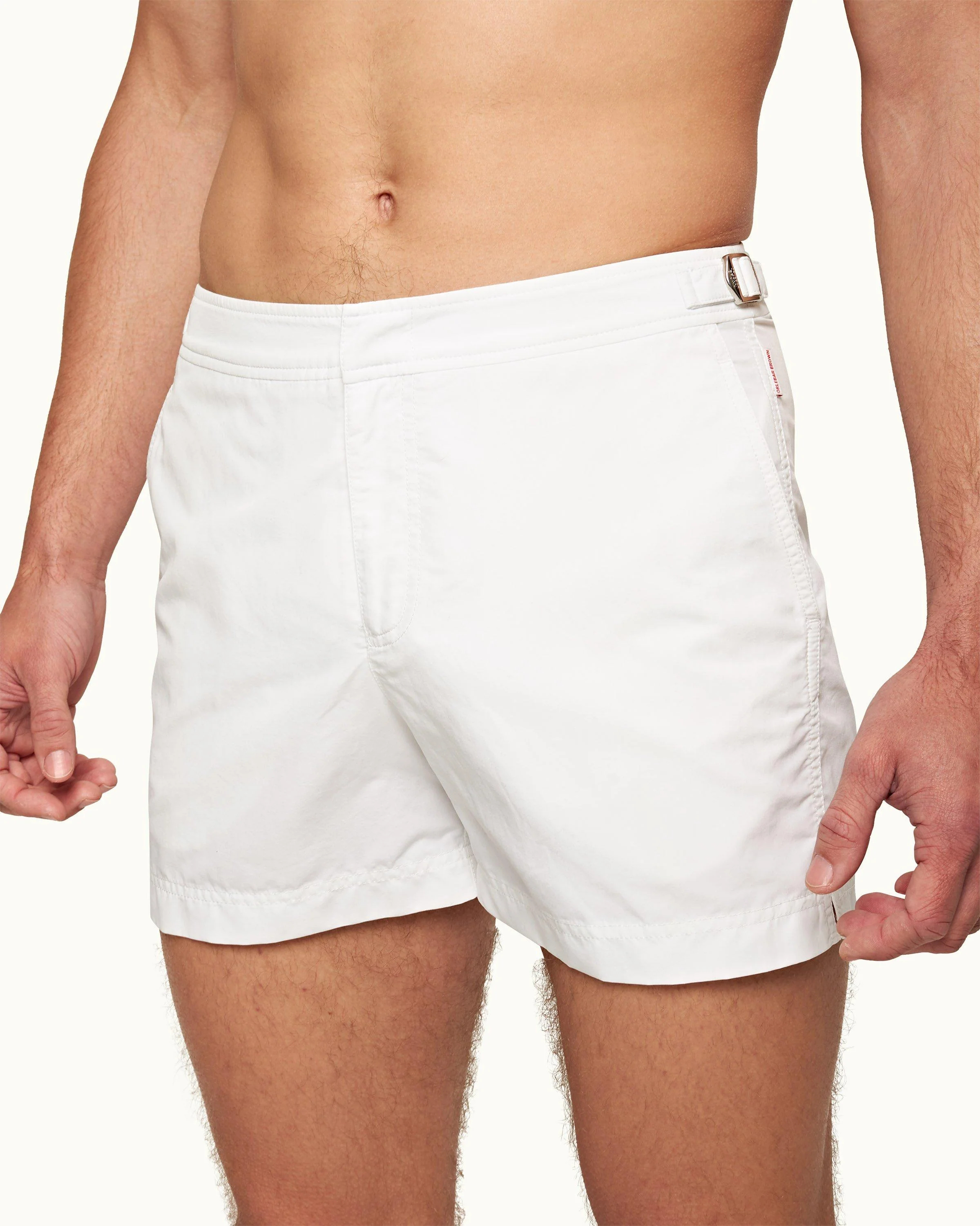Setter - Image 4