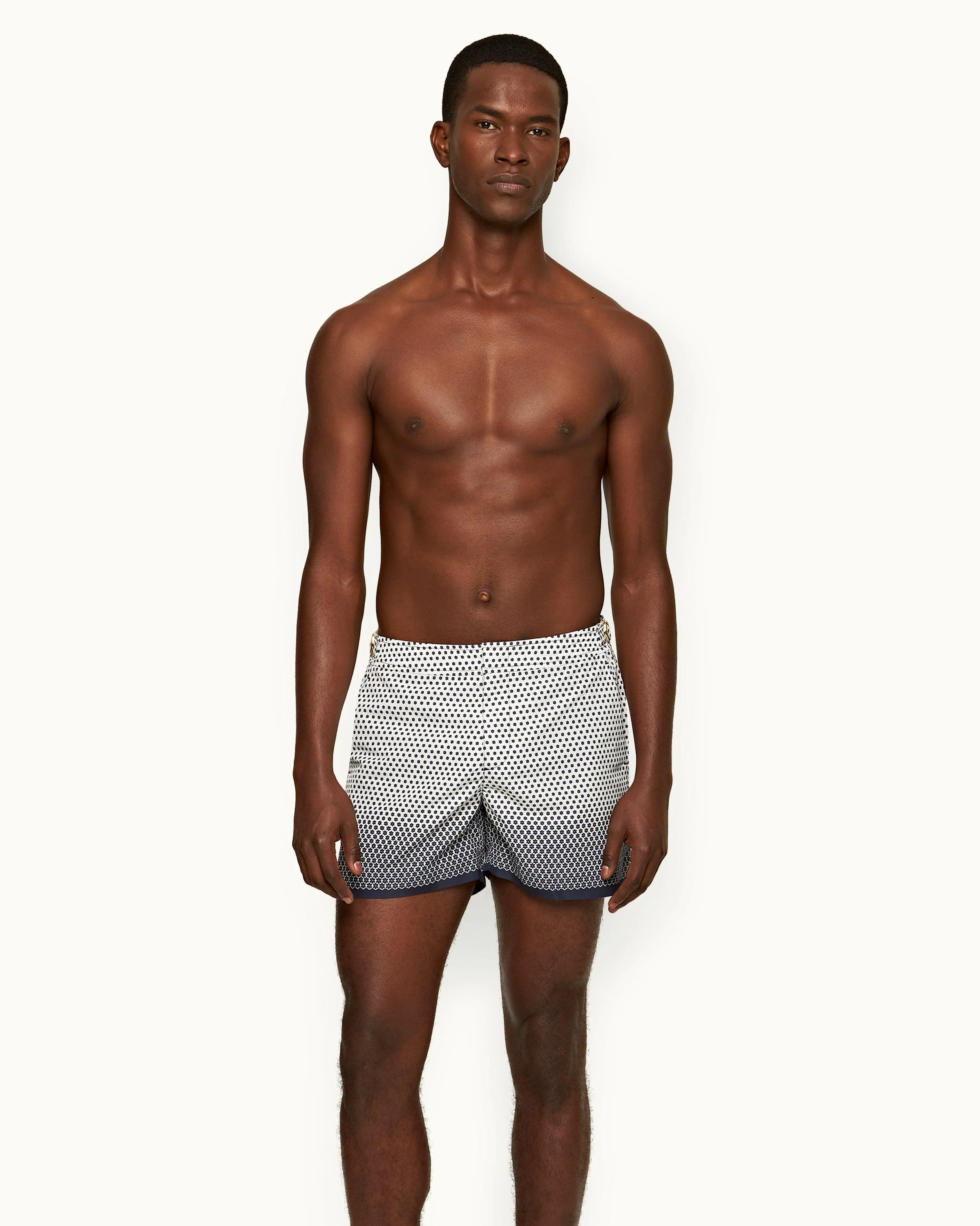Setter - Image 2