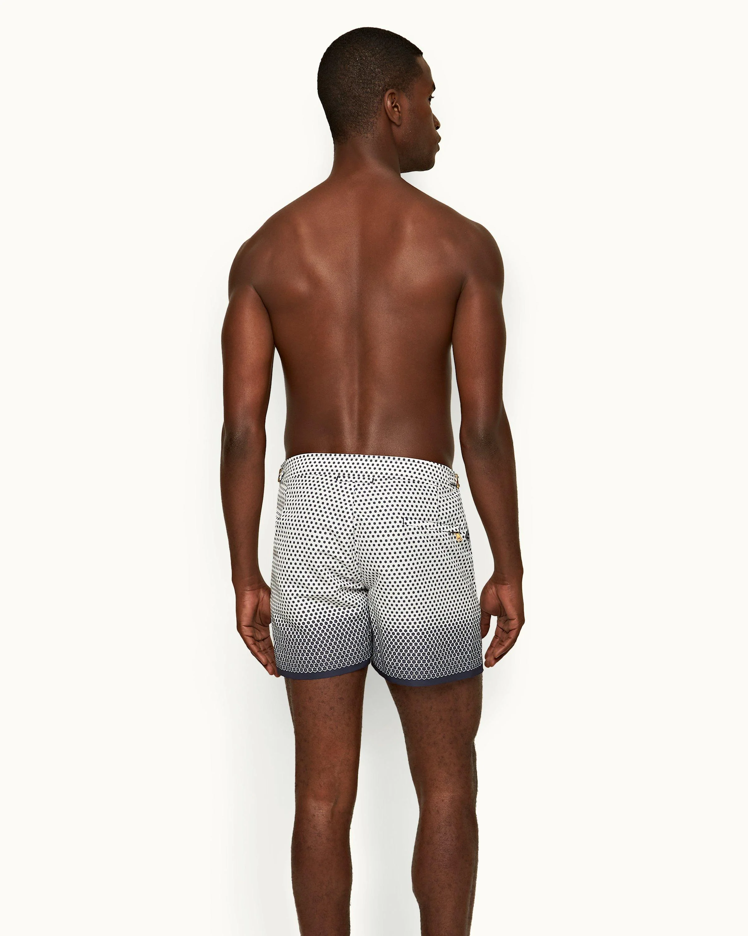 Setter - Image 4