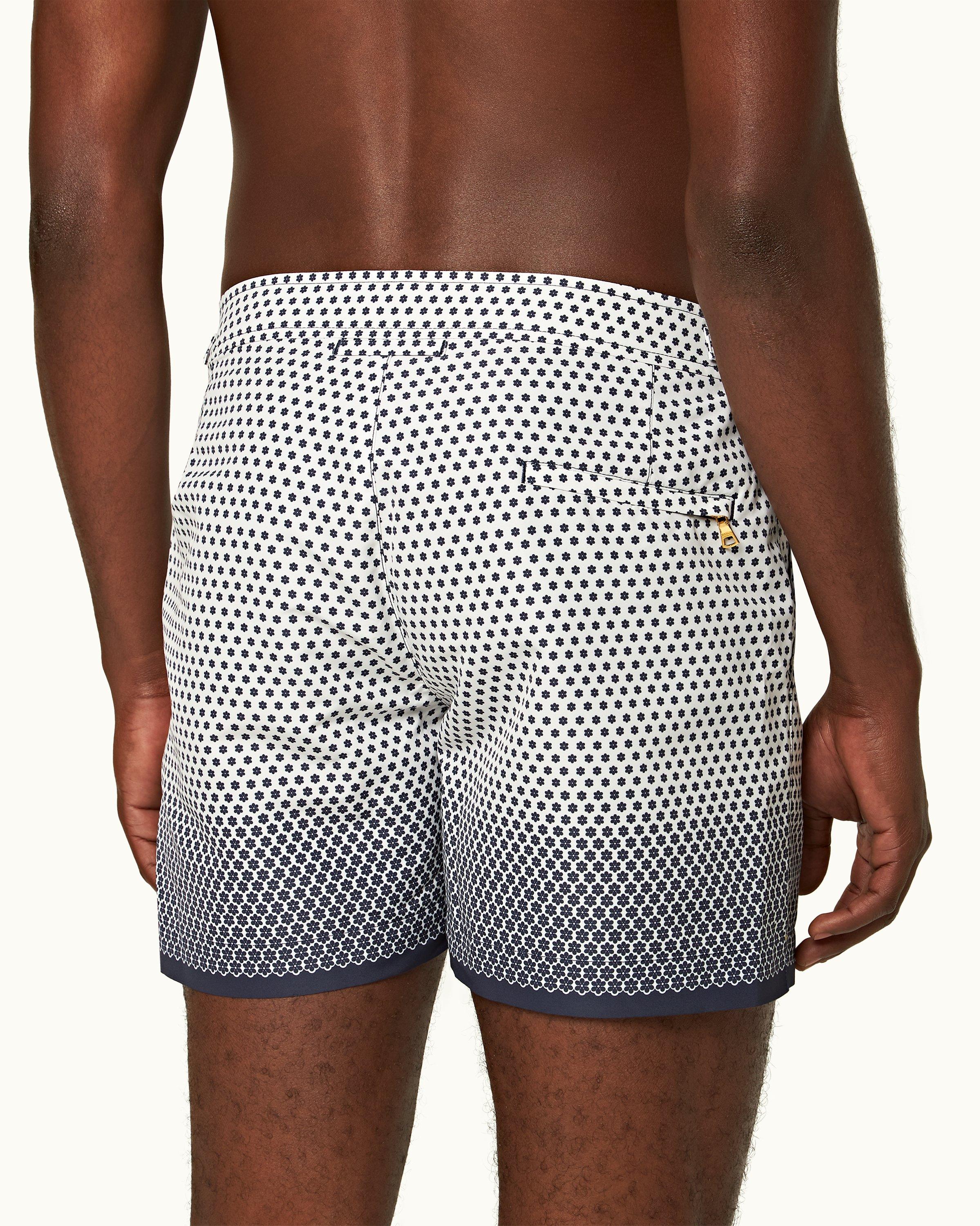 Setter - Image 6