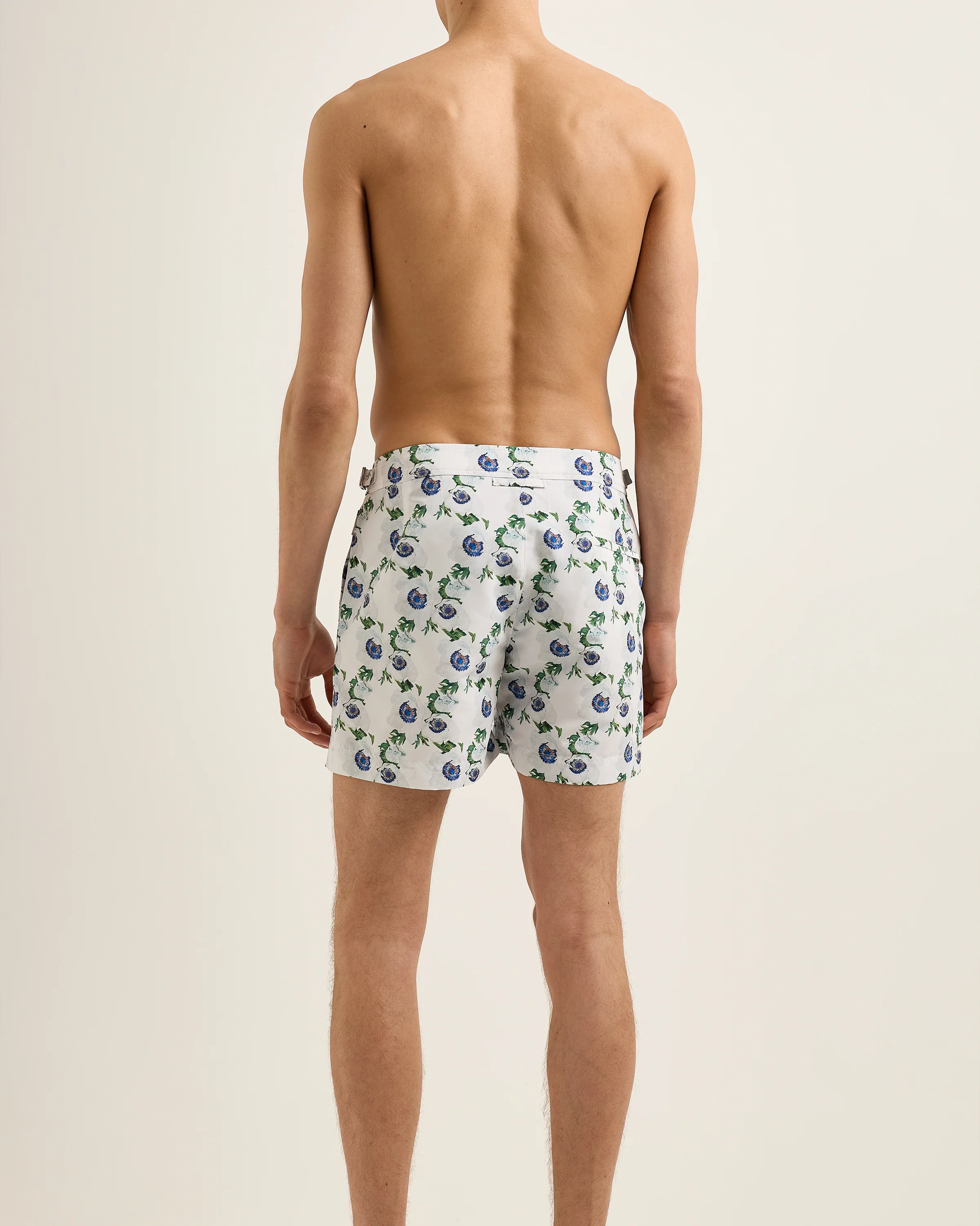 Setter - Image 4
