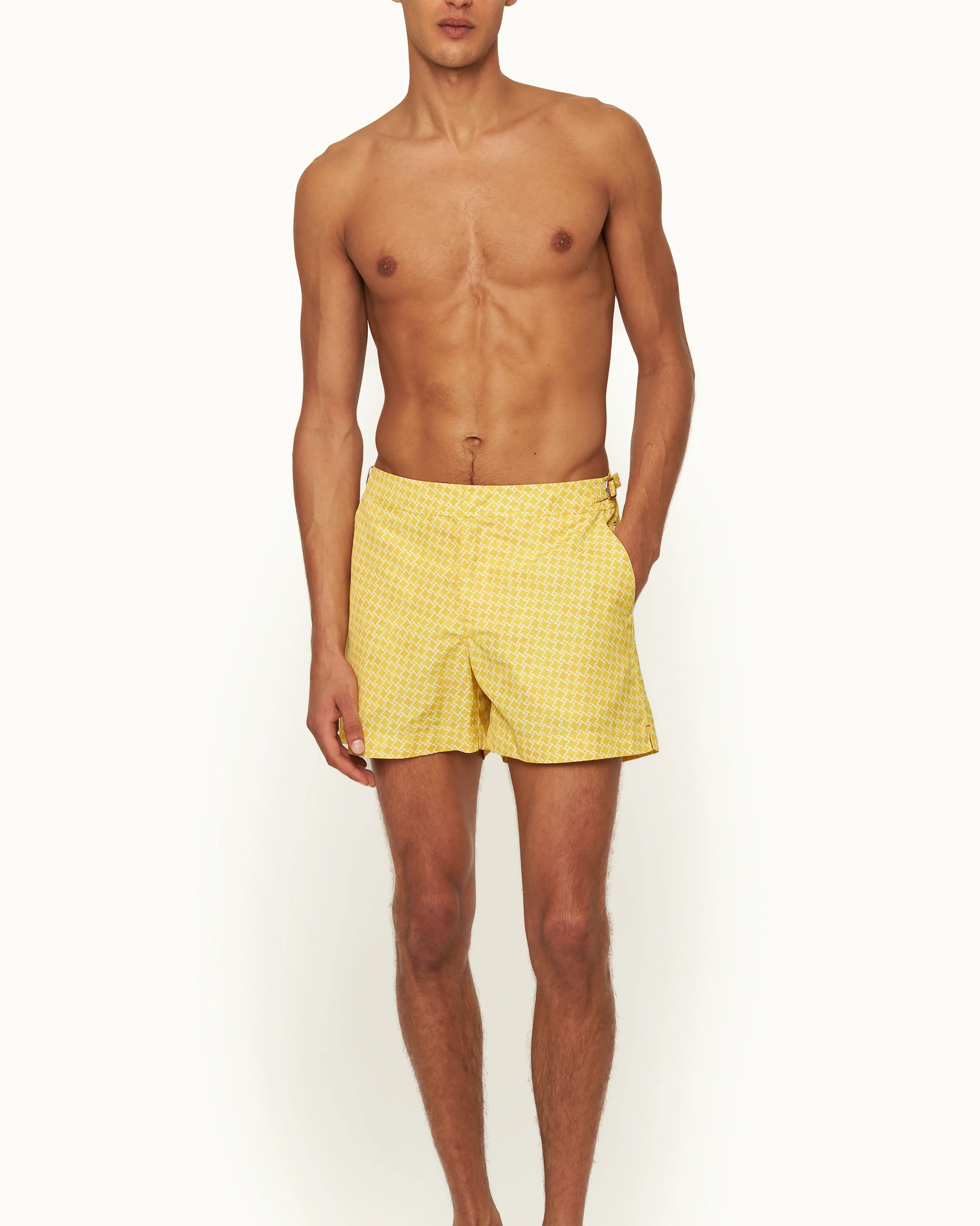 Setter - Image 3