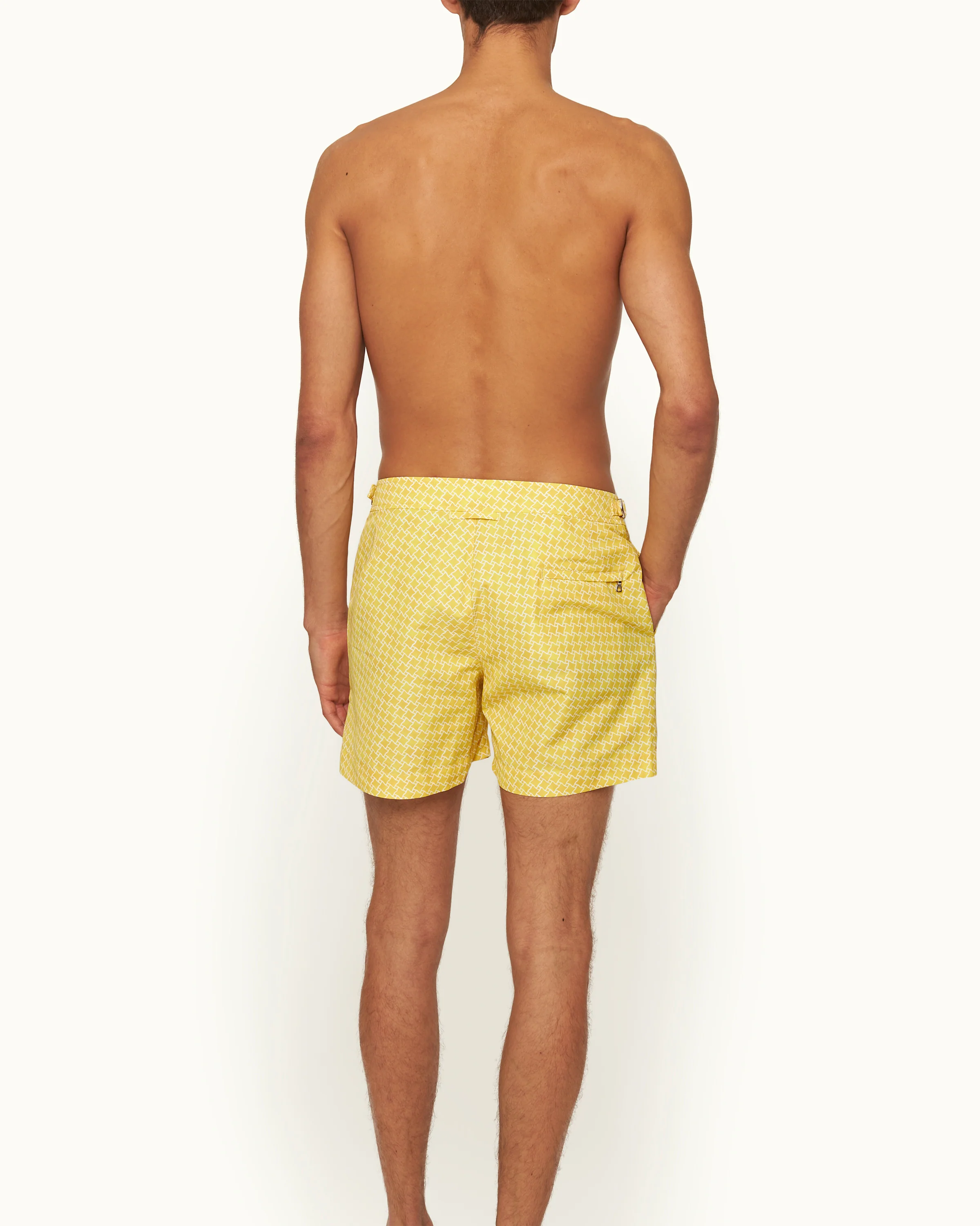 Setter - Image 4