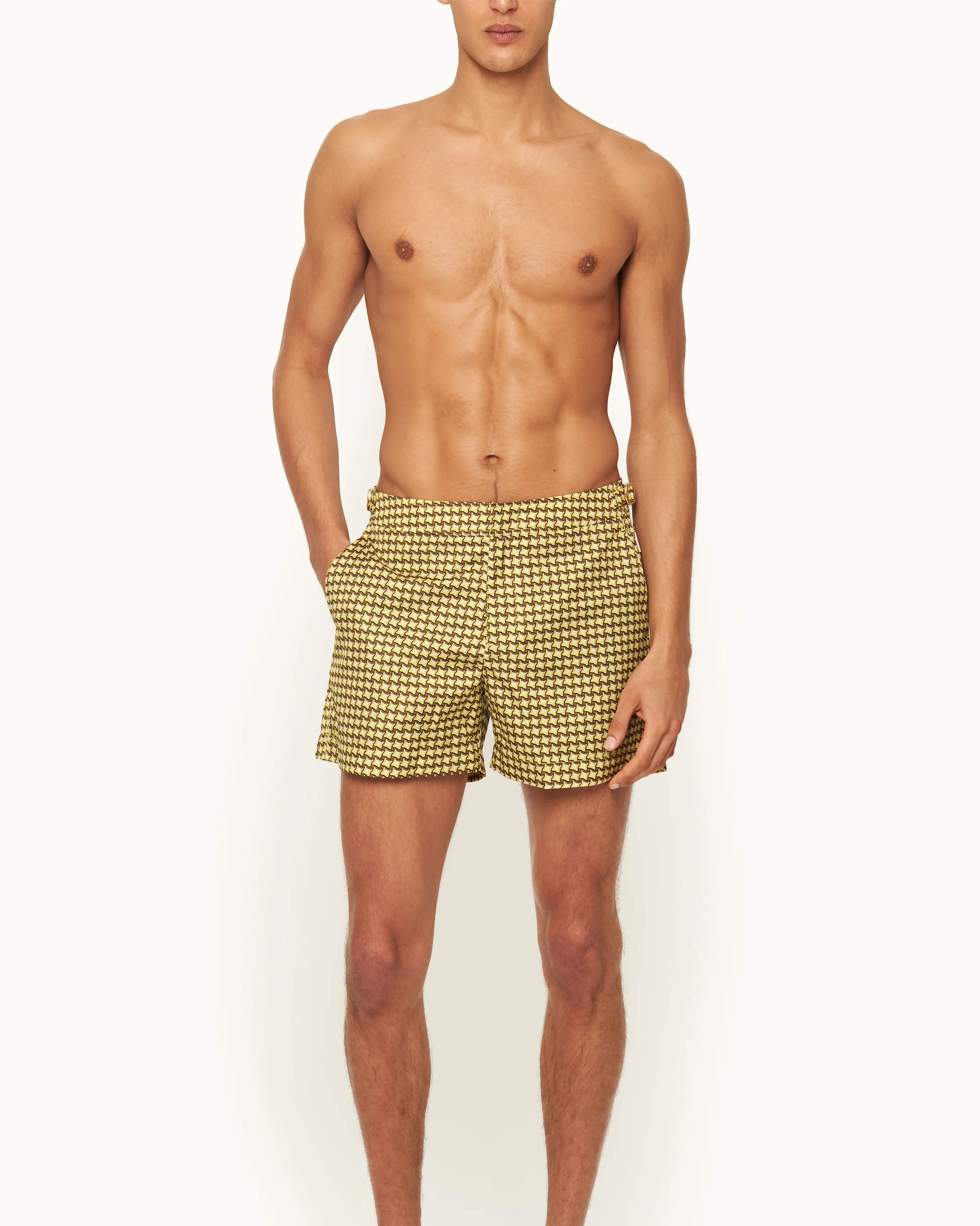 Setter - Image 3