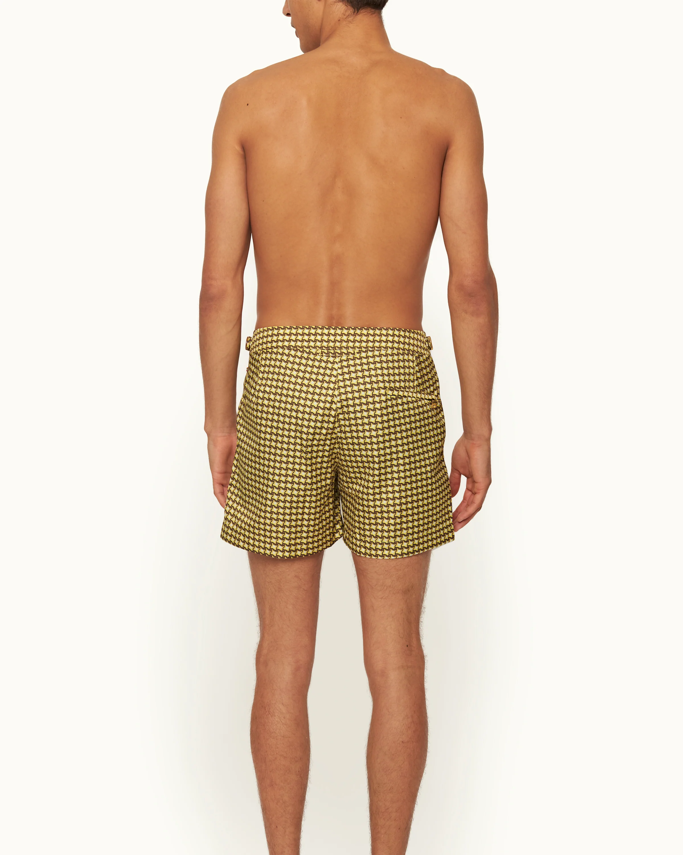 Setter - Image 4