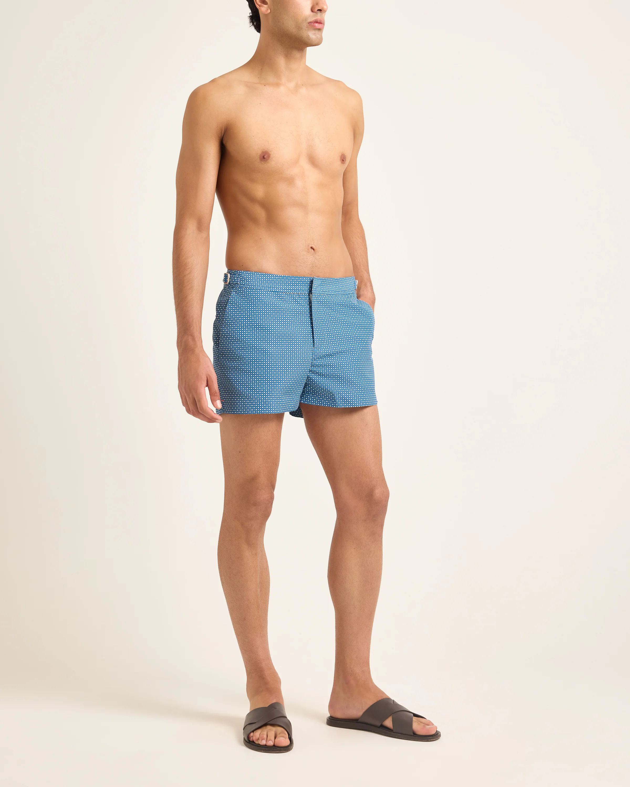 Springer - Image 3