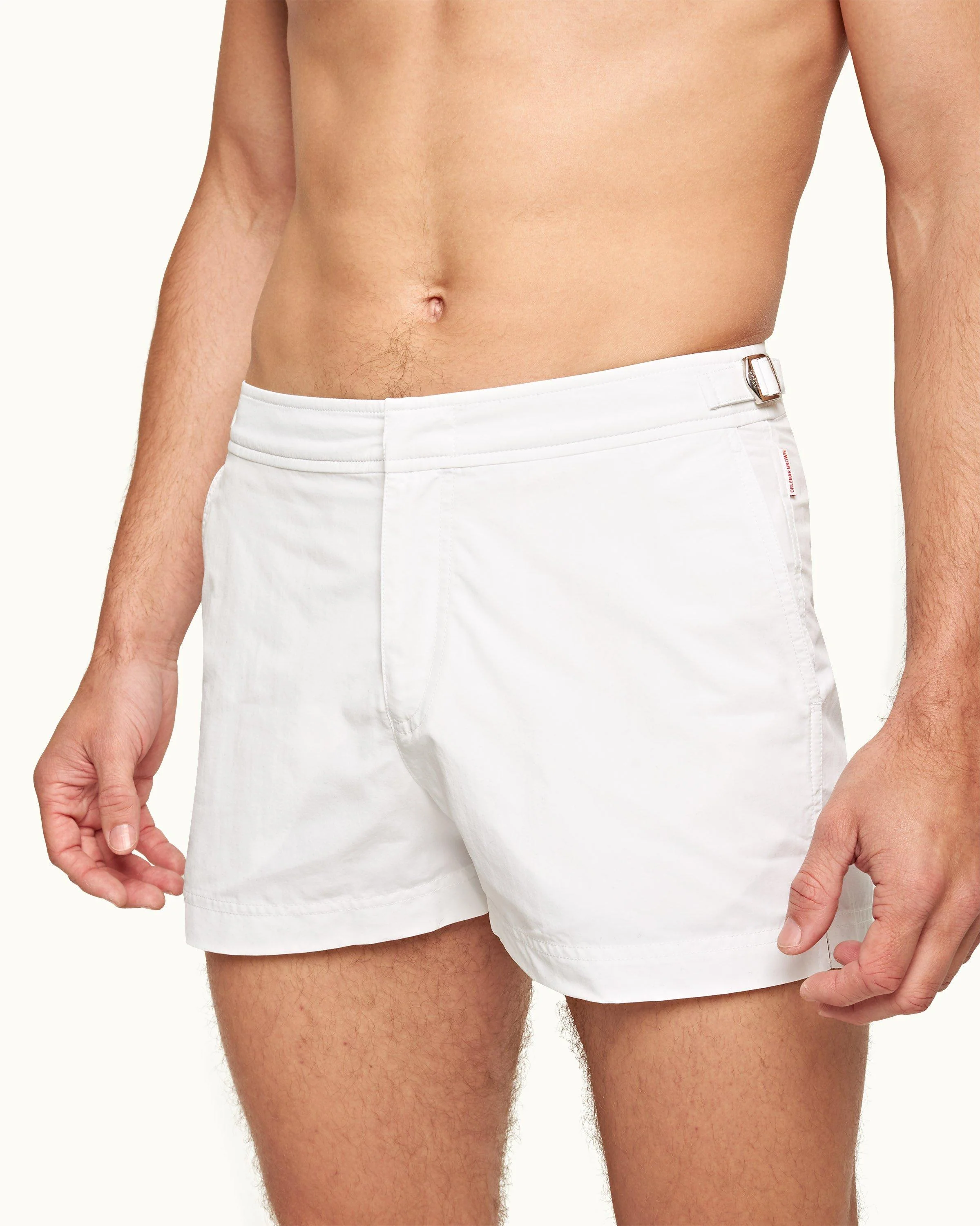 Springer - Image 4