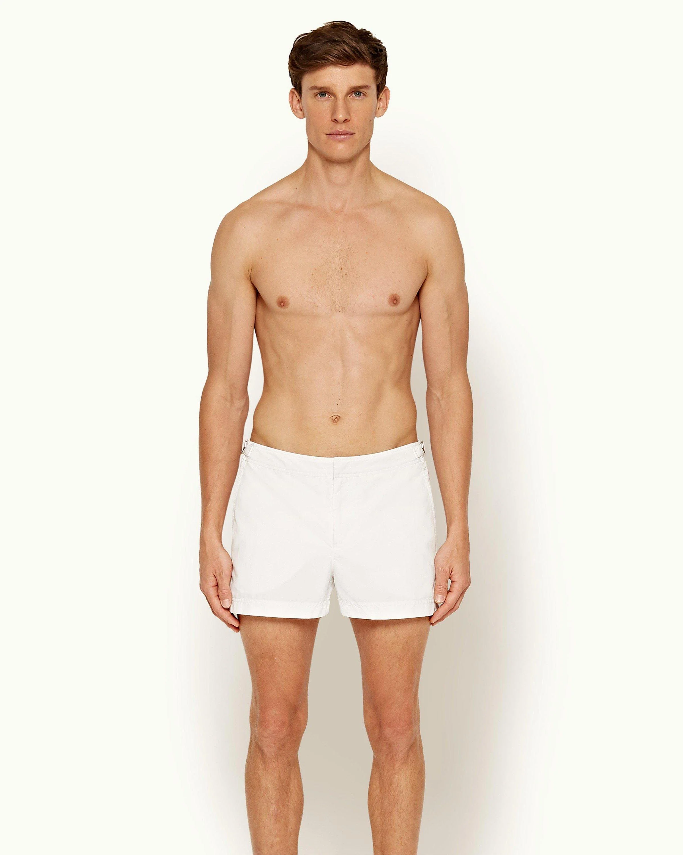Springer - Image 2