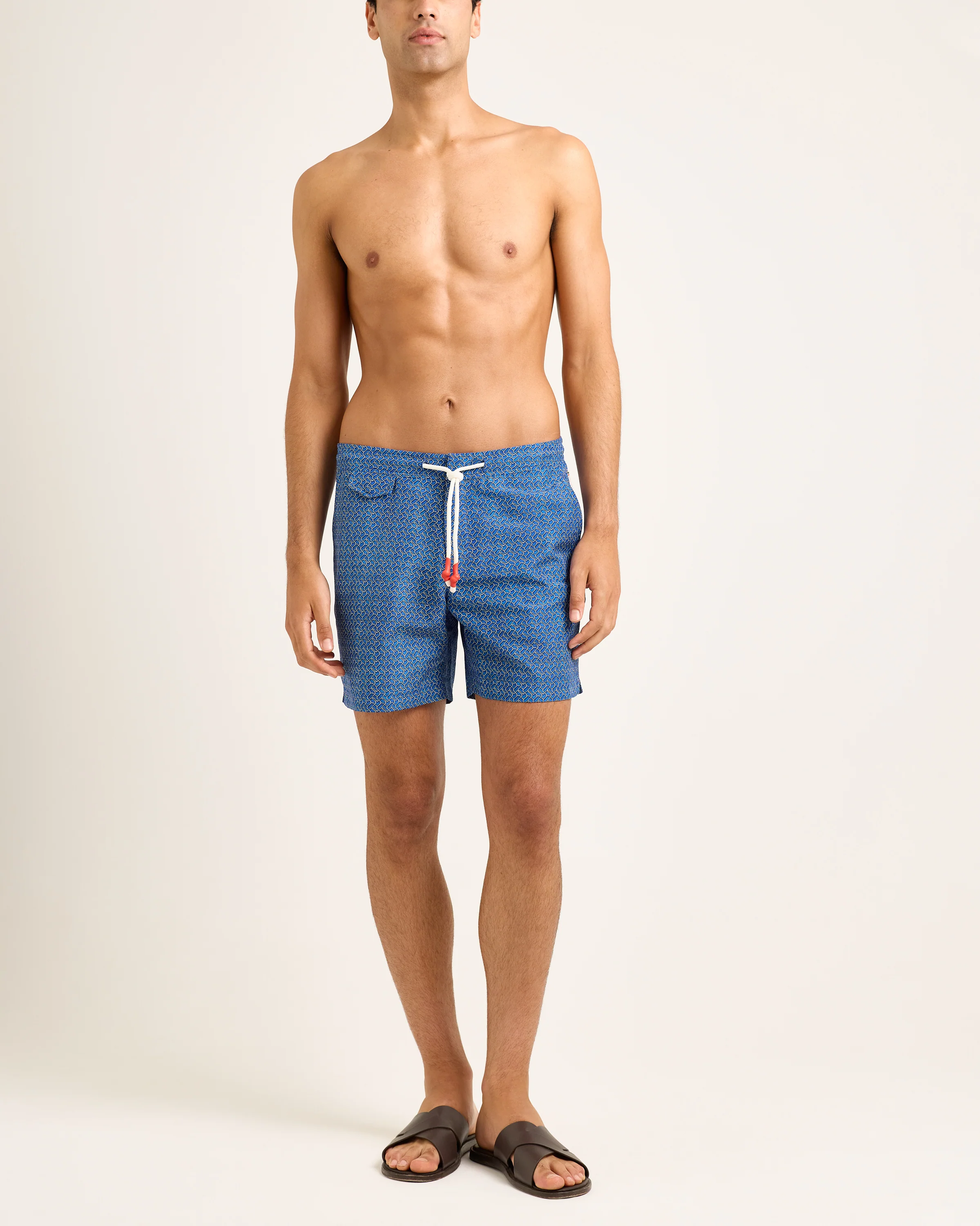 Standard - Image 3