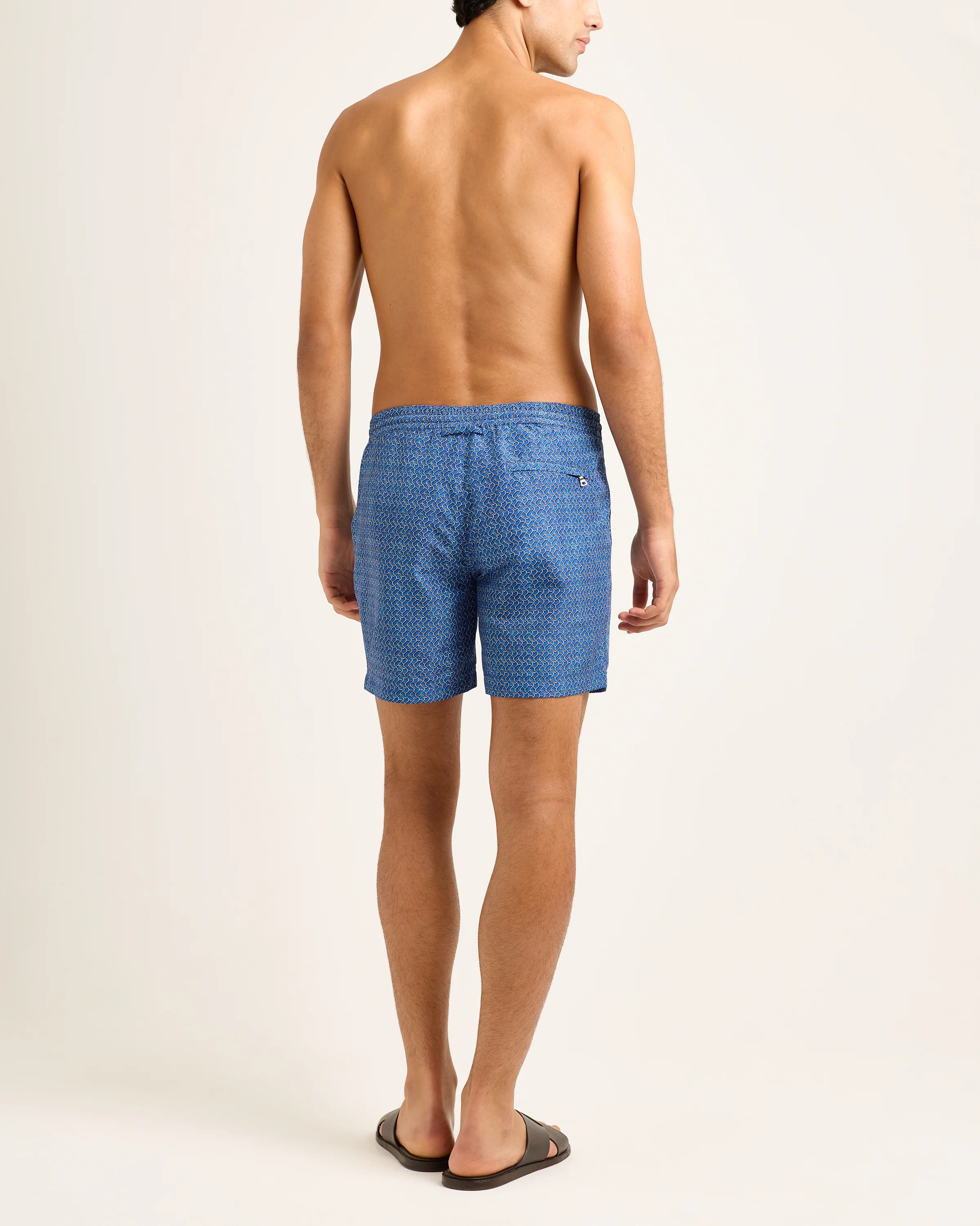 Standard - Image 4