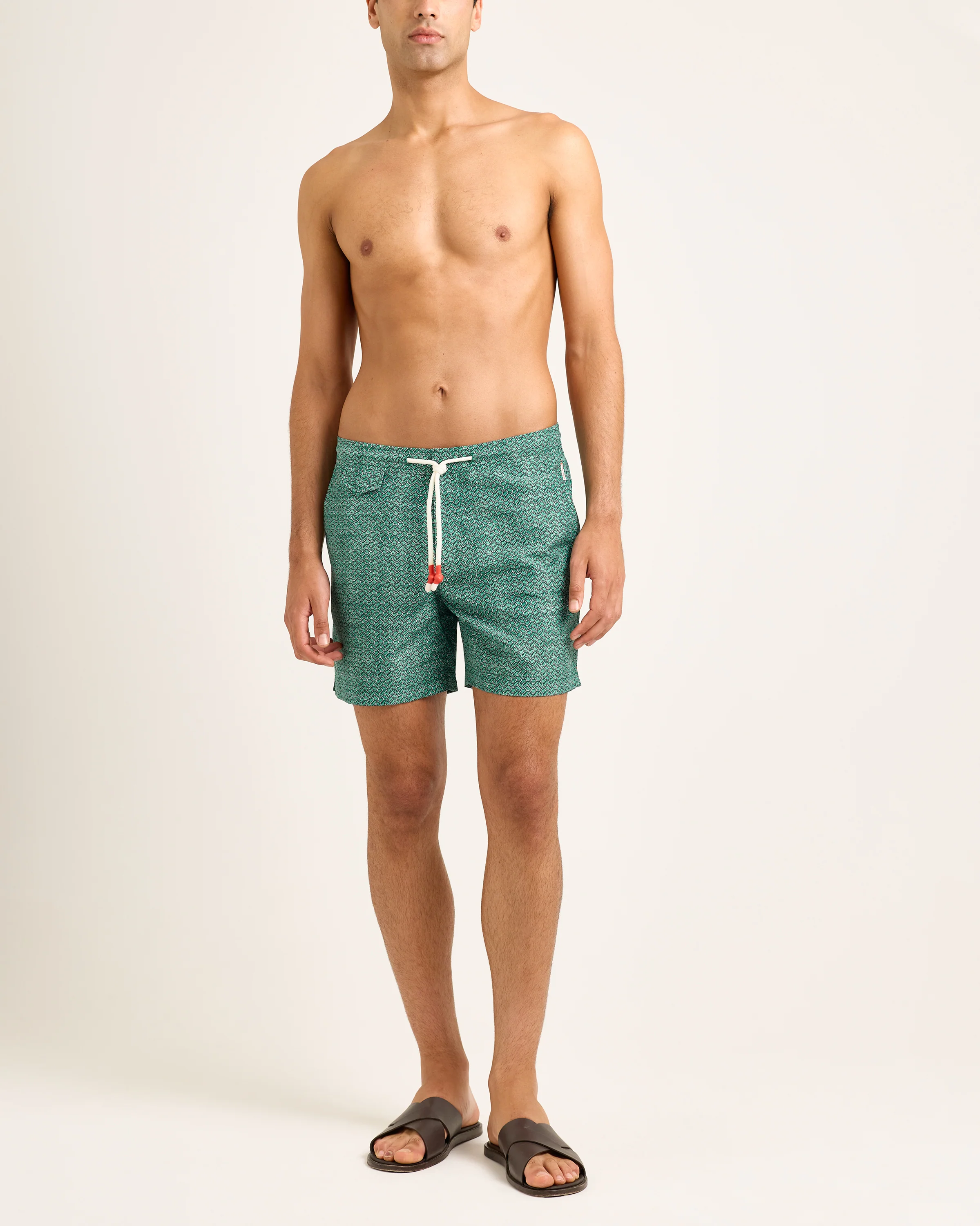 Standard - Image 3
