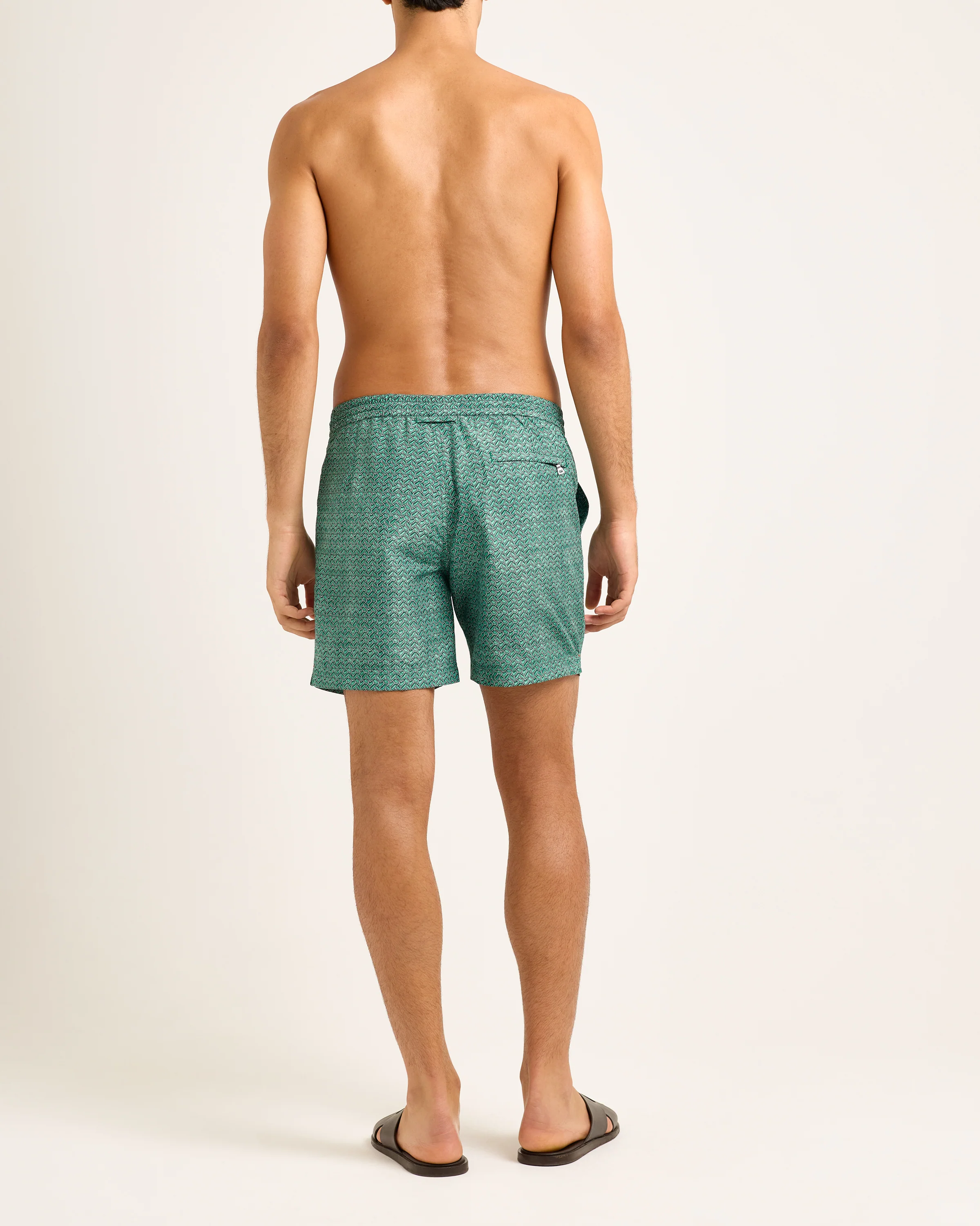 Standard - Image 4
