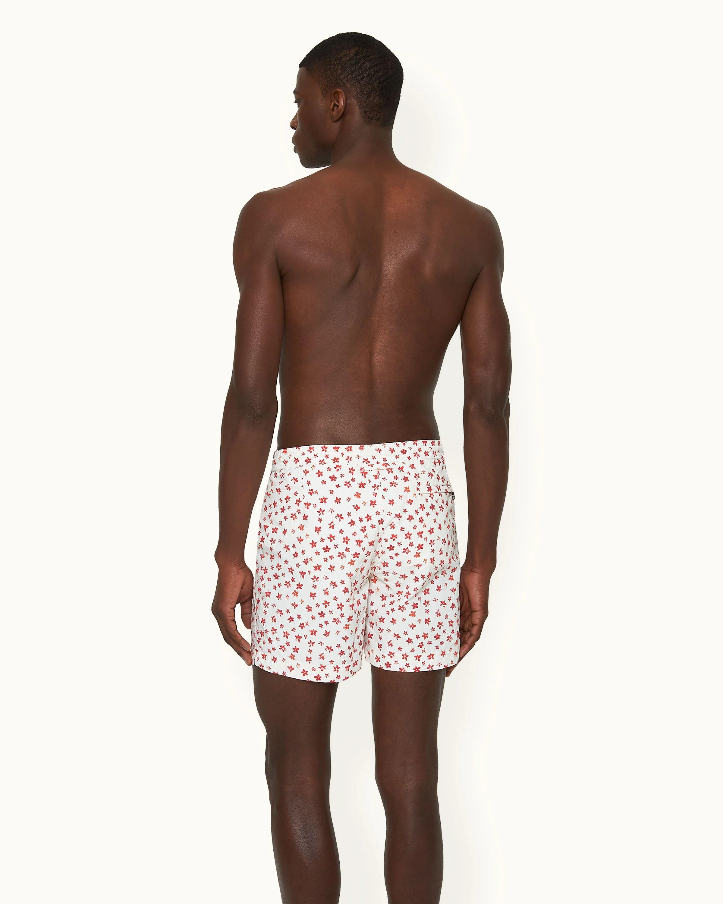 Standard - Image 3