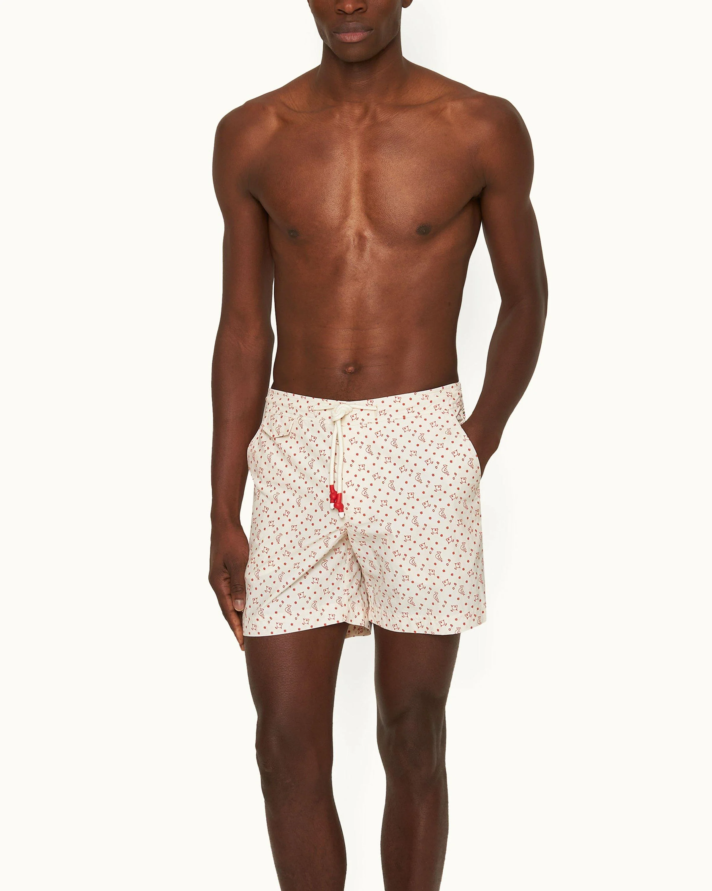 Standard - Image 2