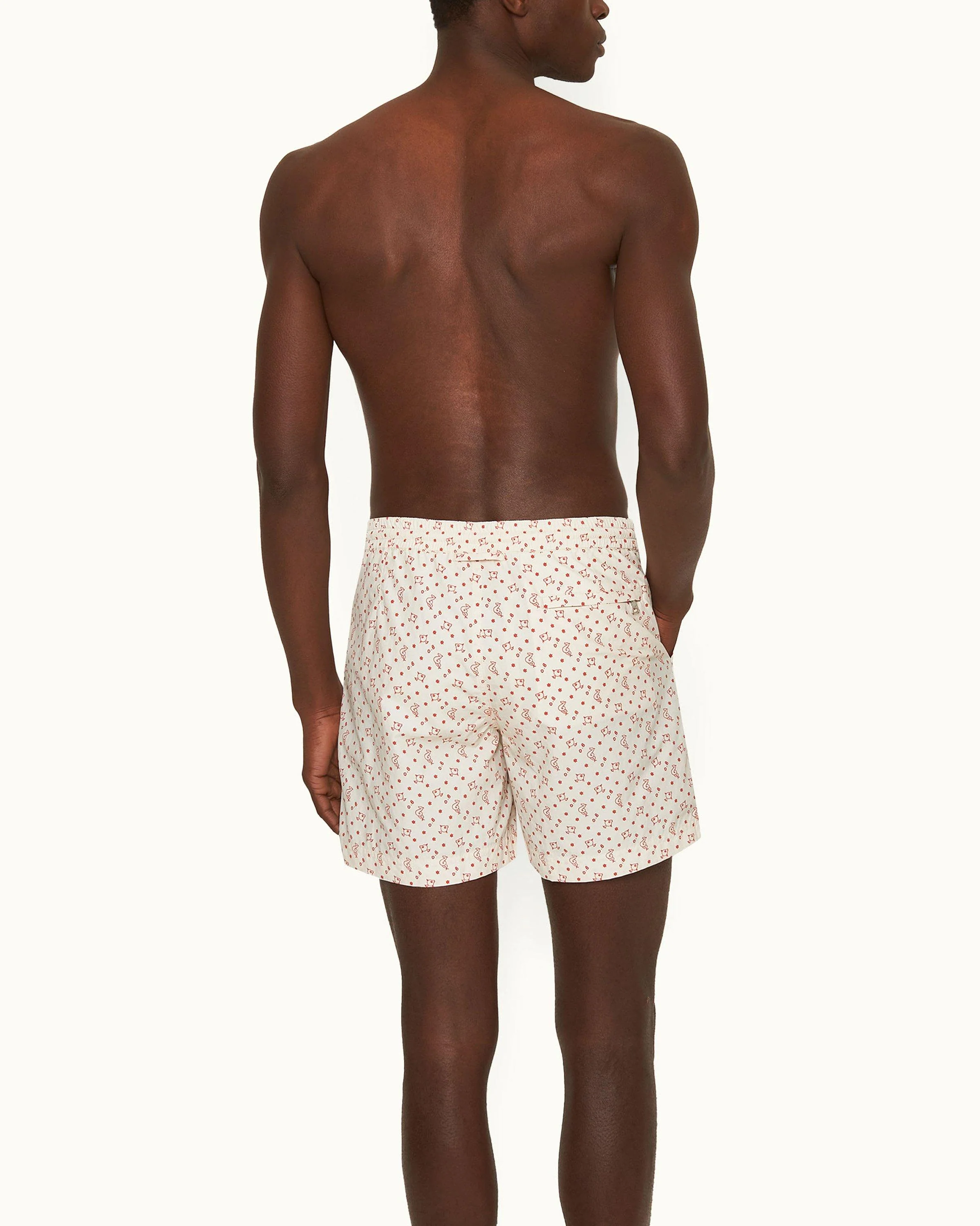 Standard - Image 3